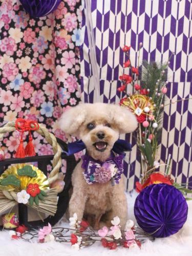 20250128クッキーくん